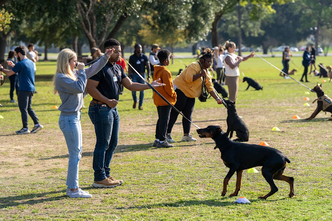 Professional dog trainer working with a client and dog